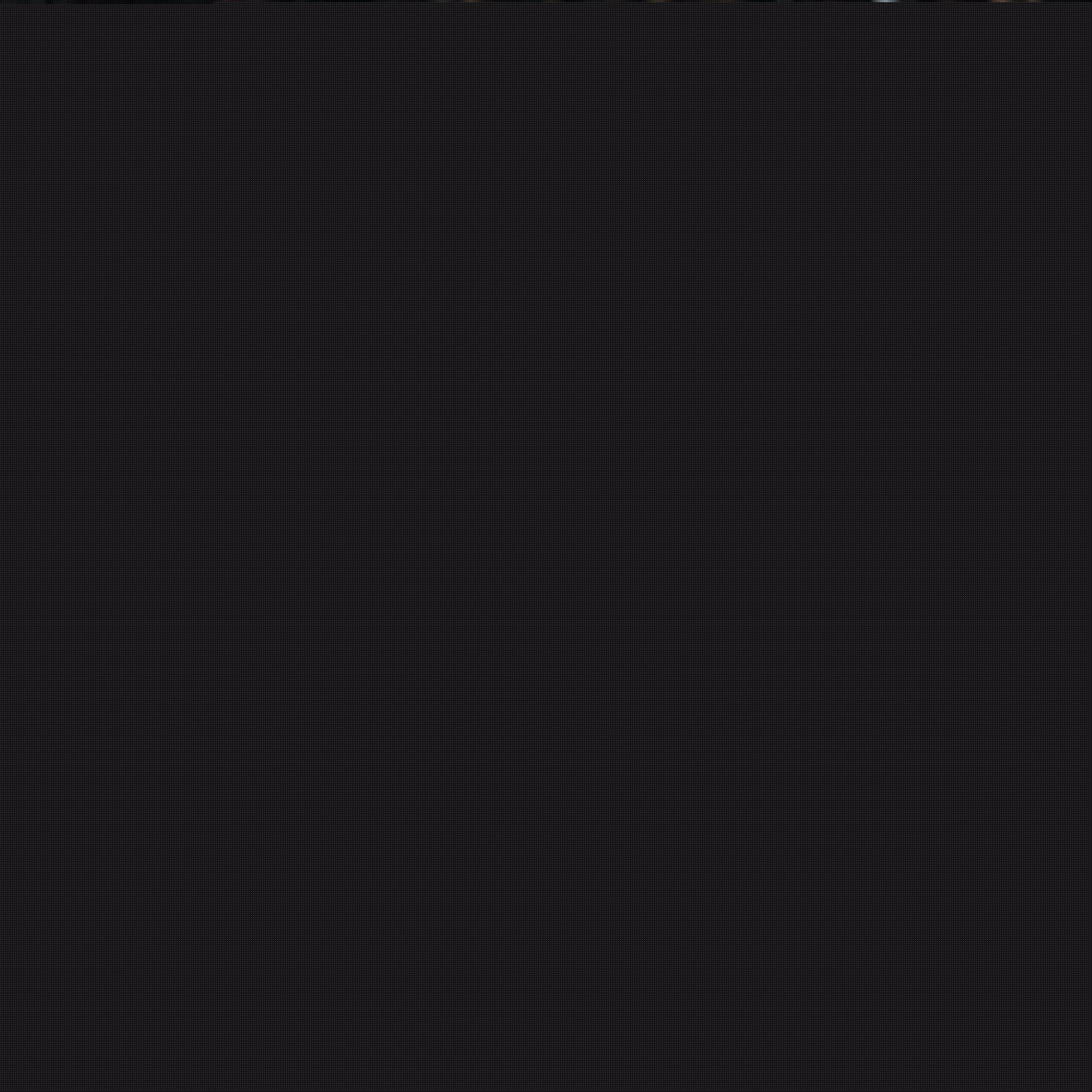 該隊不僅保